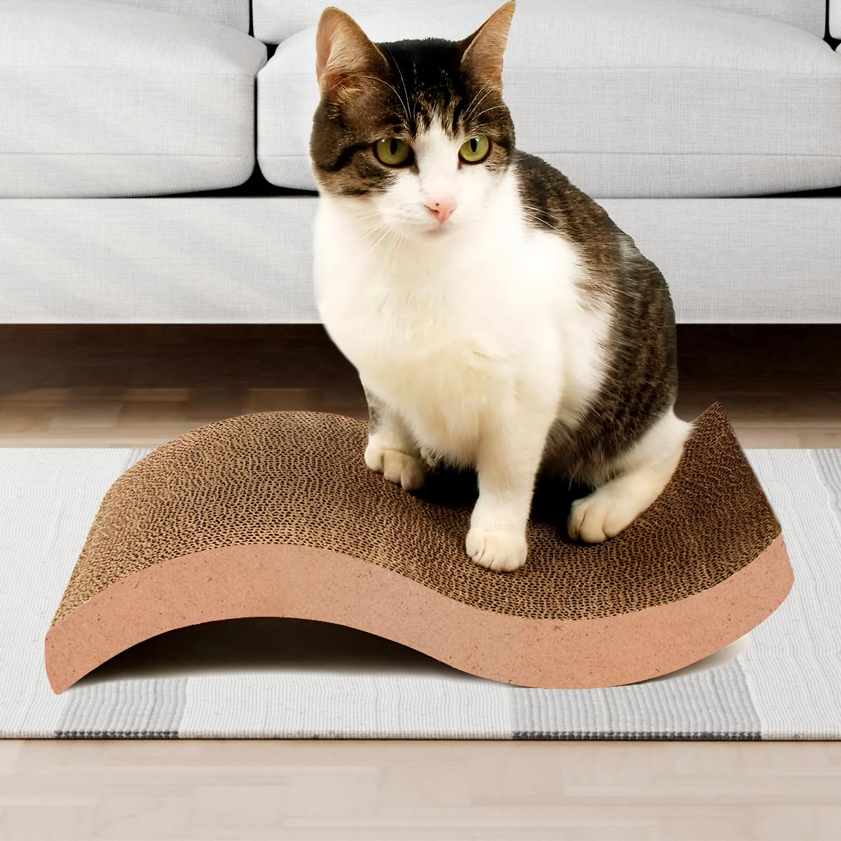 Rascador Gatos Anti Estrés Cartón Corrugado MCTK01- Ms - Imagen 6